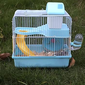 Amazon.co.jp: 1 セットハムスターケージアレチネズミケース